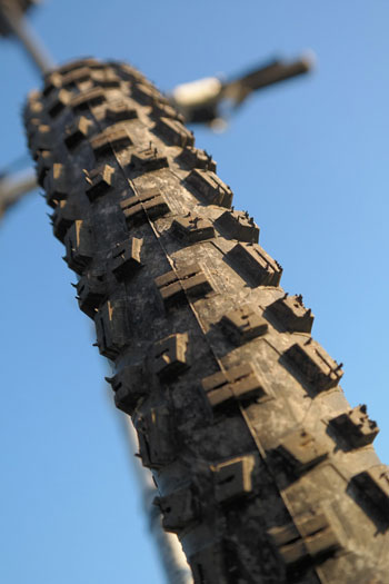 mountain bike tire