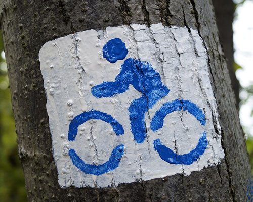 mountain bike tree sign