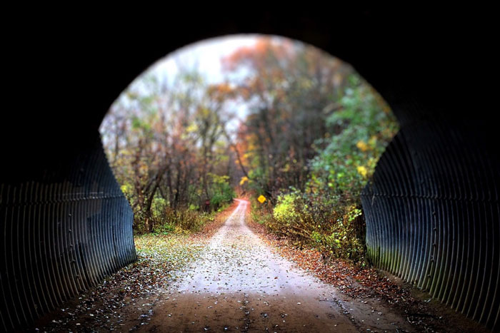 cool mountain trail tunnel