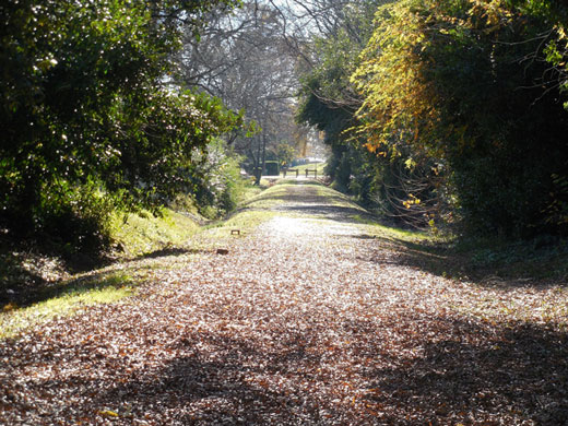 double track trail